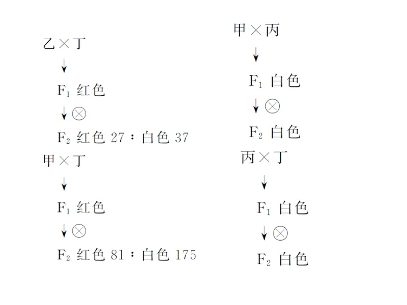 考点精讲8孟德尔遗传规律（教案）_新高考复习资料_2022年新高考复习资料_2022届一轮复习讲练结合7.13更新_系列二_考点精讲8孟德尔遗传规律