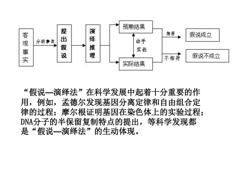 考点精讲8孟德尔遗传规律（教案）_新高考复习资料_2022年新高考复习资料_2022届一轮复习讲练结合7.13更新_系列二_考点精讲8孟德尔遗传规律