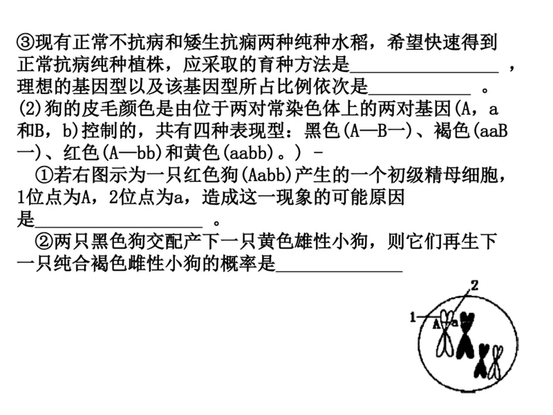 考点精讲8孟德尔遗传规律（教案）_新高考复习资料_2022年新高考复习资料_2022届一轮复习讲练结合7.13更新_系列二_考点精讲8孟德尔遗传规律