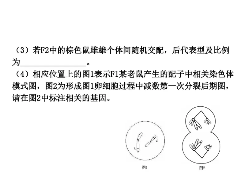 考点精讲8孟德尔遗传规律（教案）_新高考复习资料_2022年新高考复习资料_2022届一轮复习讲练结合7.13更新_系列二_考点精讲8孟德尔遗传规律