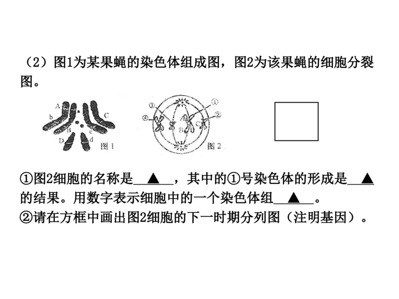 考点精讲8孟德尔遗传规律（教案）_新高考复习资料_2022年新高考复习资料_2022届一轮复习讲练结合7.13更新_系列二_考点精讲8孟德尔遗传规律