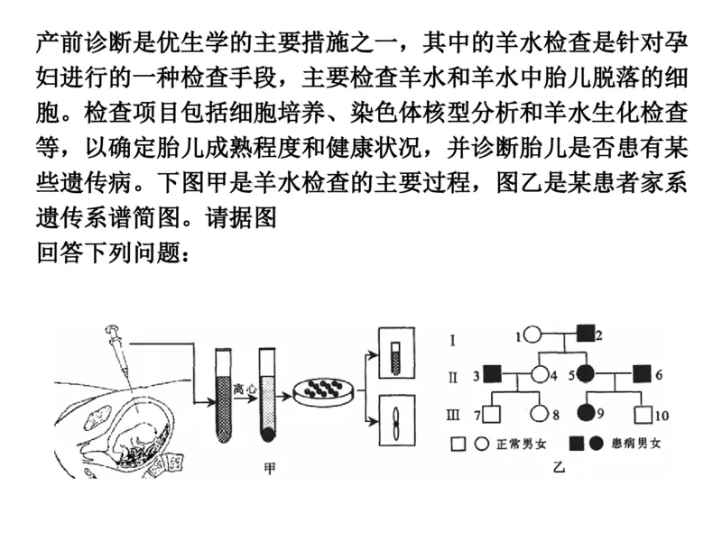 考点精讲8孟德尔遗传规律（教案）_新高考复习资料_2022年新高考复习资料_2022届一轮复习讲练结合7.13更新_系列二_考点精讲8孟德尔遗传规律