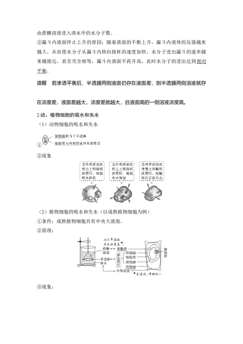 第6讲物质进出细胞的方式_通用版（老高考）复习资料_2023年复习资料_一轮复习_2023年高考生物一轮复习讲义+课件（全国版）_2023年高考生物一轮复习讲义（全国版）_赠补充习题
