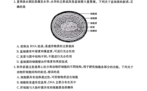 广东省揭阳市部分学校2025-2026学年高一上学期11月期中联考试题生物PDF版含答案_2025年12月高一试卷_251216广东省揭阳市部分学校2025-2026学年高一上学期11月期中联考