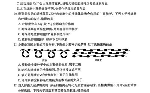 广东省揭阳市部分学校2025-2026学年高一上学期11月期中联考试题生物PDF版含答案_2025年12月高一试卷_251216广东省揭阳市部分学校2025-2026学年高一上学期11月期中联考