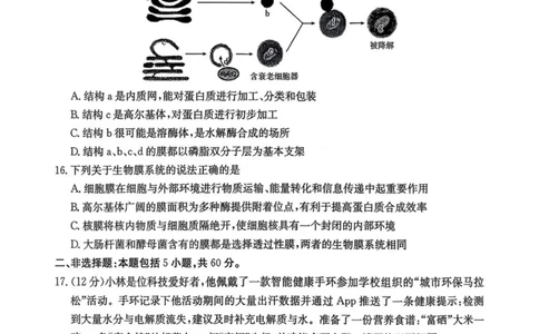 广东省揭阳市部分学校2025-2026学年高一上学期11月期中联考试题生物PDF版含答案_2025年12月高一试卷_251216广东省揭阳市部分学校2025-2026学年高一上学期11月期中联考