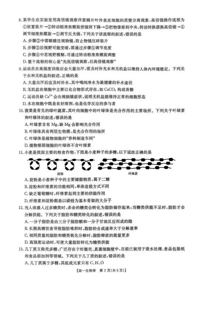 广东省揭阳市部分学校2025-2026学年高一上学期11月期中联考试题生物PDF版含答案_2025年12月高一试卷_251216广东省揭阳市部分学校2025-2026学年高一上学期11月期中联考