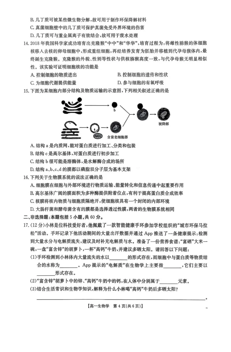 广东省揭阳市部分学校2025-2026学年高一上学期11月期中联考试题生物PDF版含答案_2025年12月高一试卷_251216广东省揭阳市部分学校2025-2026学年高一上学期11月期中联考