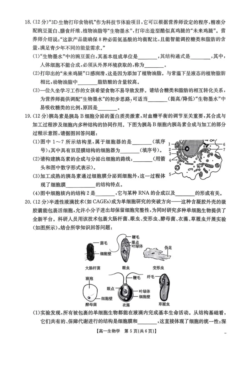 广东省揭阳市部分学校2025-2026学年高一上学期11月期中联考试题生物PDF版含答案_2025年12月高一试卷_251216广东省揭阳市部分学校2025-2026学年高一上学期11月期中联考