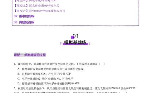 第09讲细胞呼吸（练习）（原卷版）_2025年新高考资料_一轮复习_2025年高考生物一轮复习讲练测（新教材新高考）