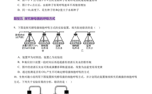 第09讲细胞呼吸（练习）（原卷版）_2025年新高考资料_一轮复习_2025年高考生物一轮复习讲练测（新教材新高考）