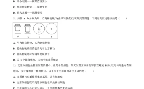 四川省成都市成华区某校2025-2026学年高一上学期阶段性考试（一）生物试题（原卷版）_2025年10月高一试卷_251028四川省成都市成华区某校2025-2026学年高一上学期阶段性考试（一）