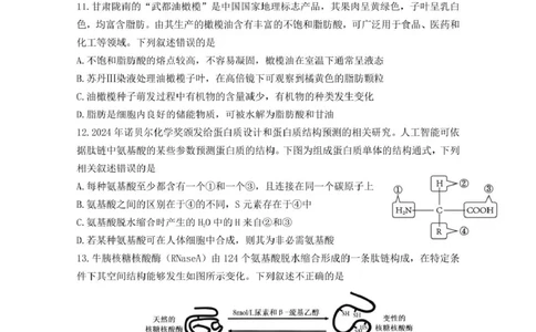 山东师范大学附属中学2025-2026学年高一上学期期中考试生物PDF版含答案_2025年12月高一试卷_251222山东师范大学附属中学2025-2026学年高一上学期期中考试（全）