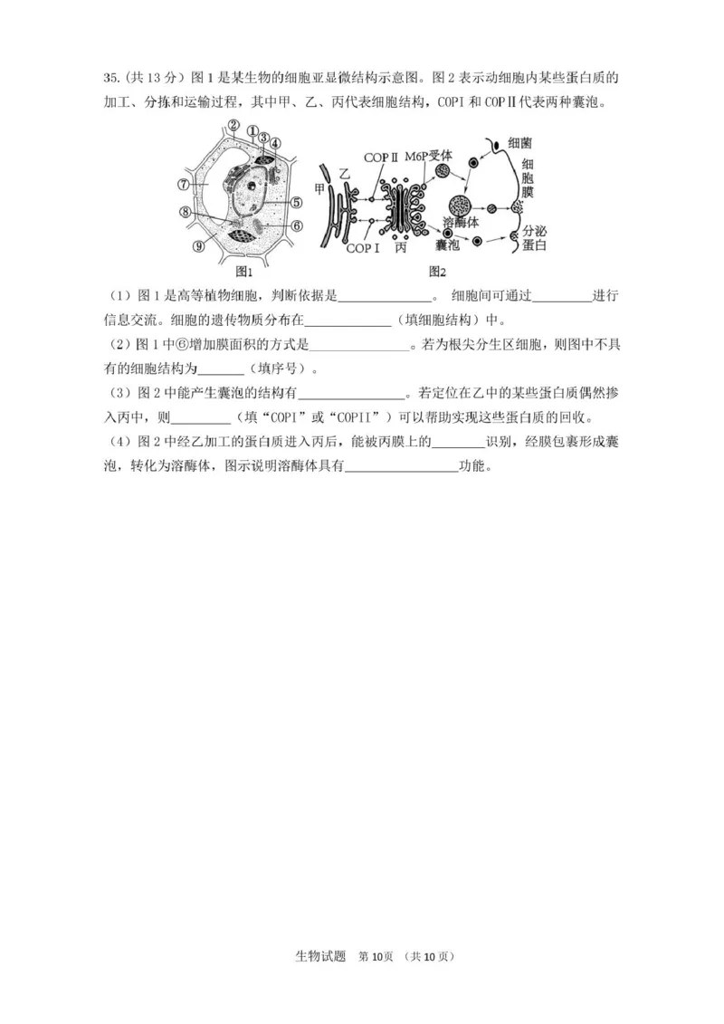山东师范大学附属中学2025-2026学年高一上学期期中考试生物PDF版含答案_2025年12月高一试卷_251222山东师范大学附属中学2025-2026学年高一上学期期中考试（全）