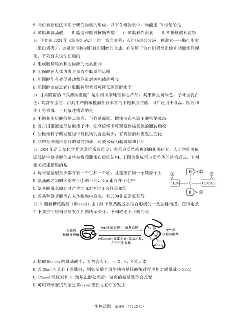 山东师范大学附属中学2025-2026学年高一上学期期中考试生物PDF版含答案_2025年12月高一试卷_251222山东师范大学附属中学2025-2026学年高一上学期期中考试（全）