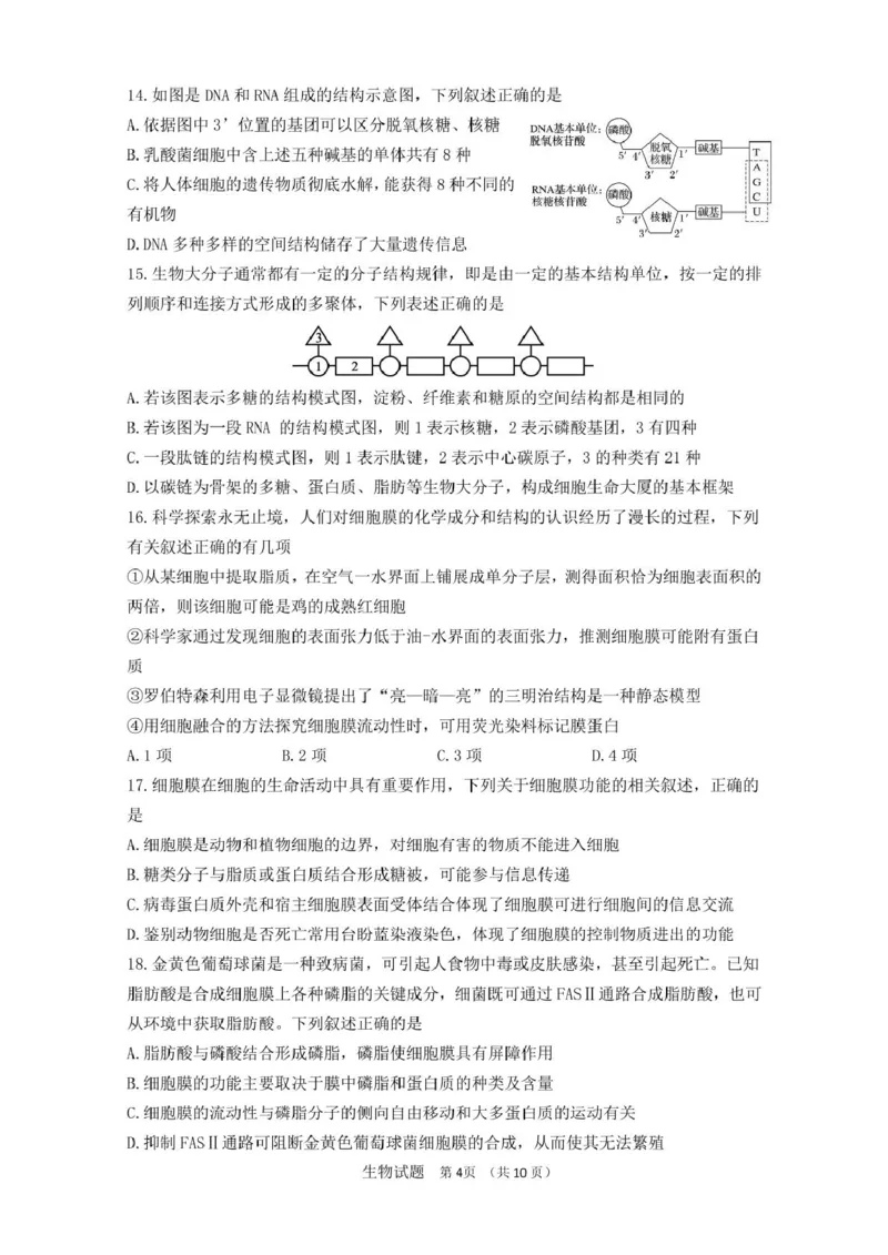 山东师范大学附属中学2025-2026学年高一上学期期中考试生物PDF版含答案_2025年12月高一试卷_251222山东师范大学附属中学2025-2026学年高一上学期期中考试（全）