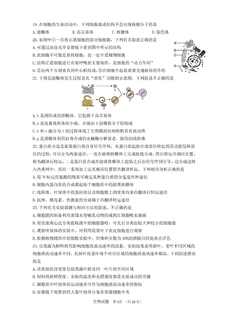 山东师范大学附属中学2025-2026学年高一上学期期中考试生物PDF版含答案_2025年12月高一试卷_251222山东师范大学附属中学2025-2026学年高一上学期期中考试（全）