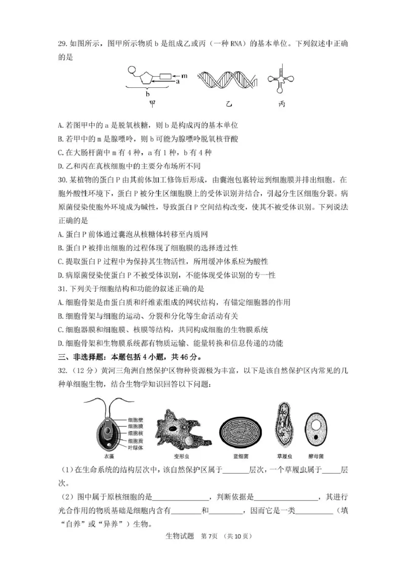 山东师范大学附属中学2025-2026学年高一上学期期中考试生物PDF版含答案_2025年12月高一试卷_251222山东师范大学附属中学2025-2026学年高一上学期期中考试（全）