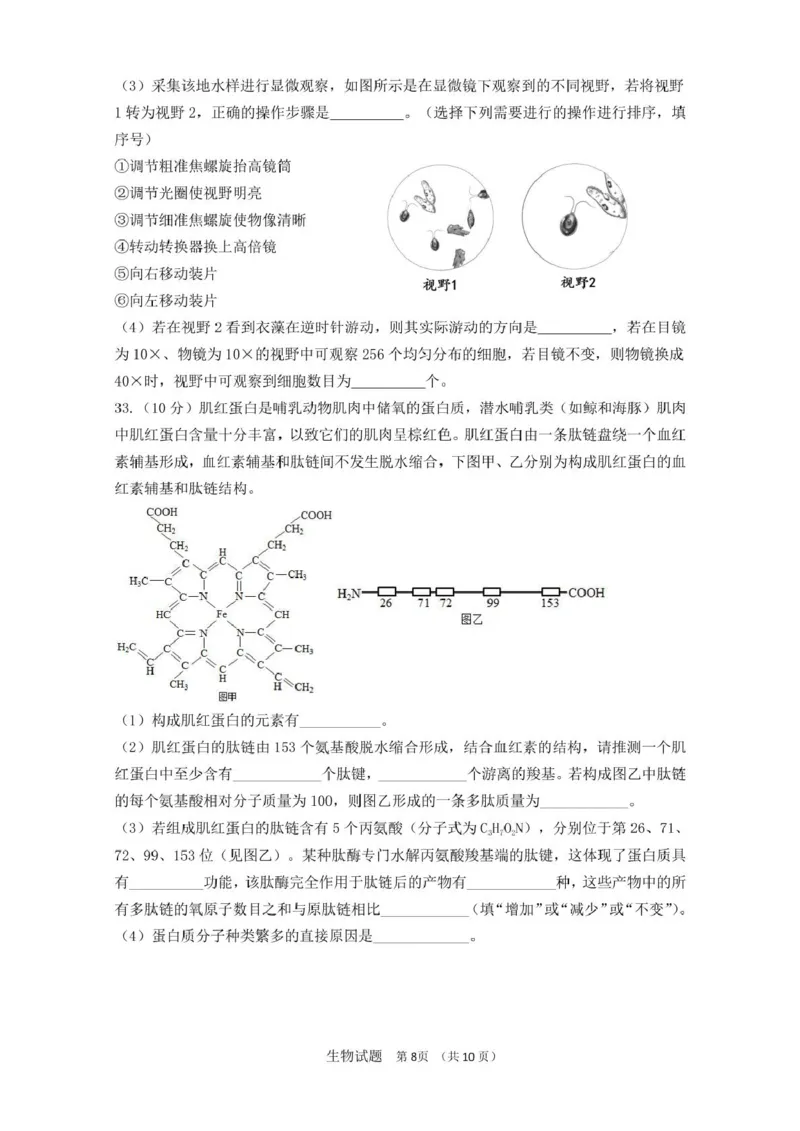 山东师范大学附属中学2025-2026学年高一上学期期中考试生物PDF版含答案_2025年12月高一试卷_251222山东师范大学附属中学2025-2026学年高一上学期期中考试（全）