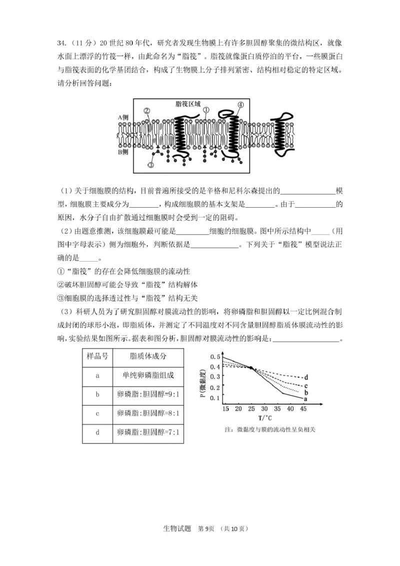 山东师范大学附属中学2025-2026学年高一上学期期中考试生物PDF版含答案_2025年12月高一试卷_251222山东师范大学附属中学2025-2026学年高一上学期期中考试（全）