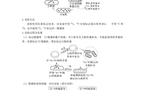 考点18DNA是主要的遗传物质（原卷版）_通用版（老高考）复习资料_2023年复习资料_一轮复习_2023年高考生物一轮复习讲练测（全国通用）