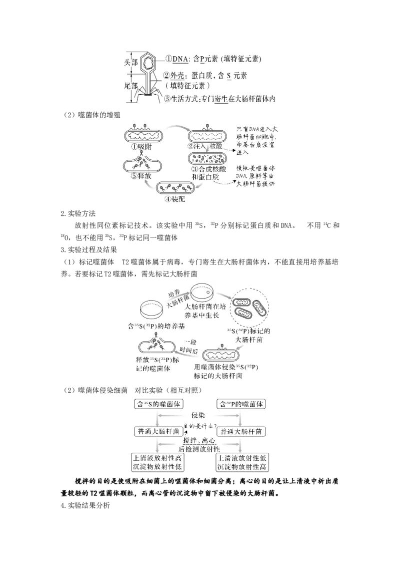 考点18DNA是主要的遗传物质（原卷版）_通用版（老高考）复习资料_2023年复习资料_一轮复习_2023年高考生物一轮复习讲练测（全国通用）