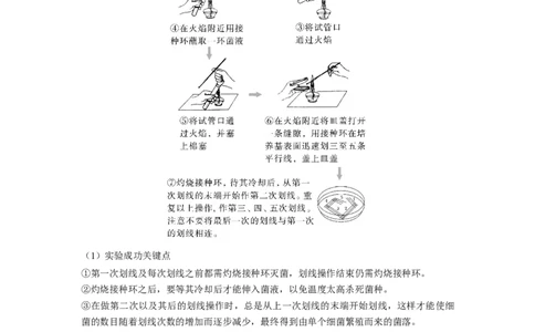 考点35微生物的培养技术及其应用（解析版）_通用版（老高考）复习资料_2023年复习资料_一轮复习_2023年高考生物一轮复习讲练测（全国通用）