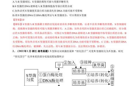 考向12基因的本质-备战2023年高考生物一轮复习考点微专题（全国通用）（解析版）_通用版（老高考）复习资料_2023年复习资料_一轮复习