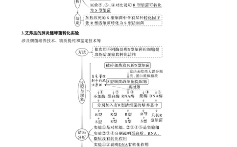 考向12基因的本质-备战2023年高考生物一轮复习考点微专题（全国通用）（解析版）_通用版（老高考）复习资料_2023年复习资料_一轮复习