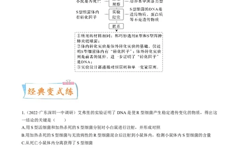 考向12基因的本质-备战2023年高考生物一轮复习考点微专题（全国通用）（解析版）_通用版（老高考）复习资料_2023年复习资料_一轮复习