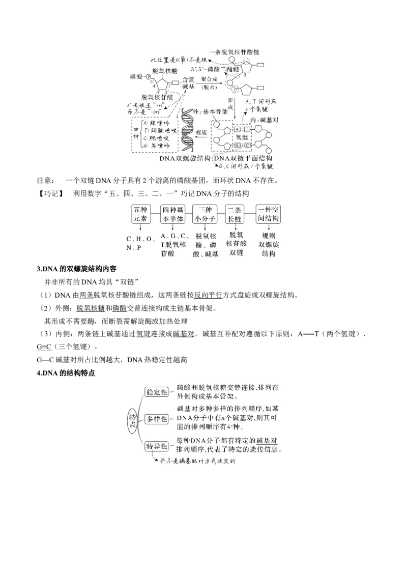 考向12基因的本质-备战2023年高考生物一轮复习考点微专题（全国通用）（解析版）_通用版（老高考）复习资料_2023年复习资料_一轮复习