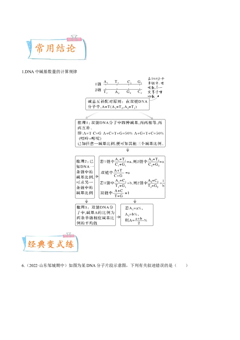 考向12基因的本质-备战2023年高考生物一轮复习考点微专题（全国通用）（解析版）_通用版（老高考）复习资料_2023年复习资料_一轮复习