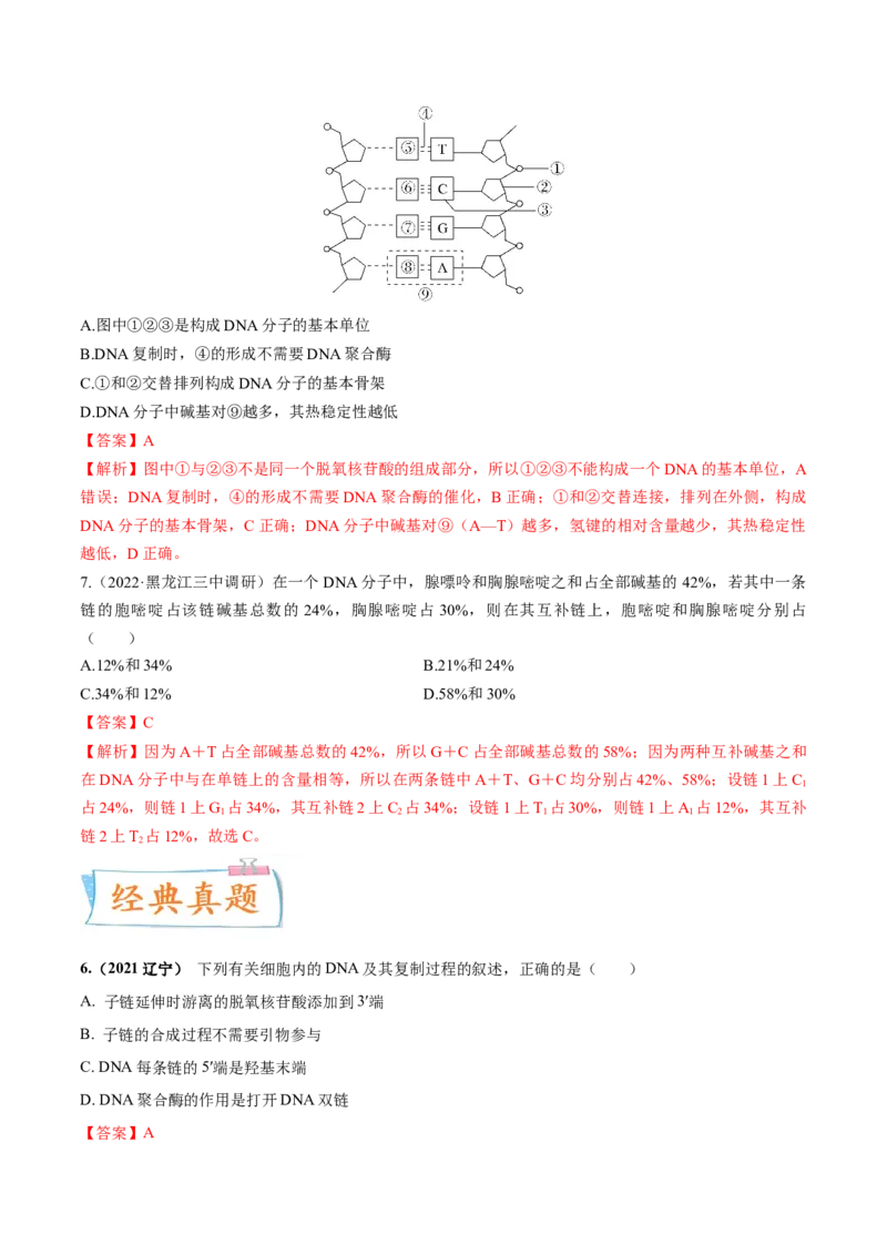 考向12基因的本质-备战2023年高考生物一轮复习考点微专题（全国通用）（解析版）_通用版（老高考）复习资料_2023年复习资料_一轮复习