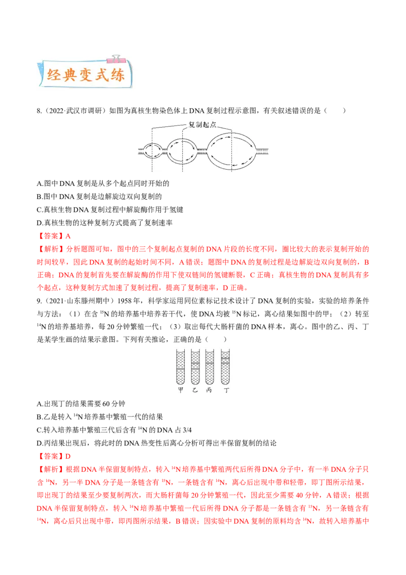 考向12基因的本质-备战2023年高考生物一轮复习考点微专题（全国通用）（解析版）_通用版（老高考）复习资料_2023年复习资料_一轮复习