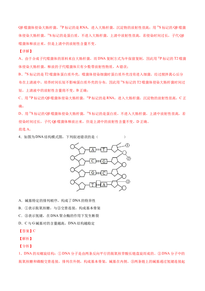 考向12基因的本质-备战2023年高考生物一轮复习考点微专题（全国通用）（解析版）_通用版（老高考）复习资料_2023年复习资料_一轮复习