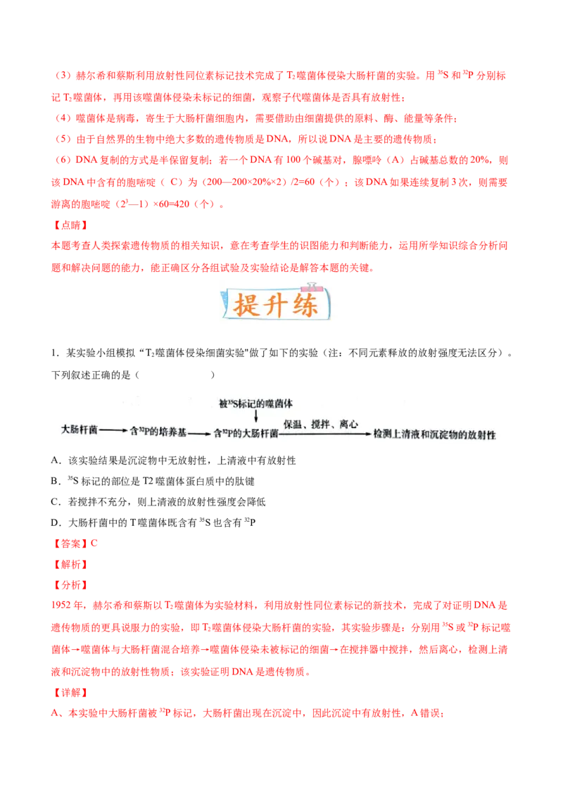 考向12基因的本质-备战2023年高考生物一轮复习考点微专题（全国通用）（解析版）_通用版（老高考）复习资料_2023年复习资料_一轮复习