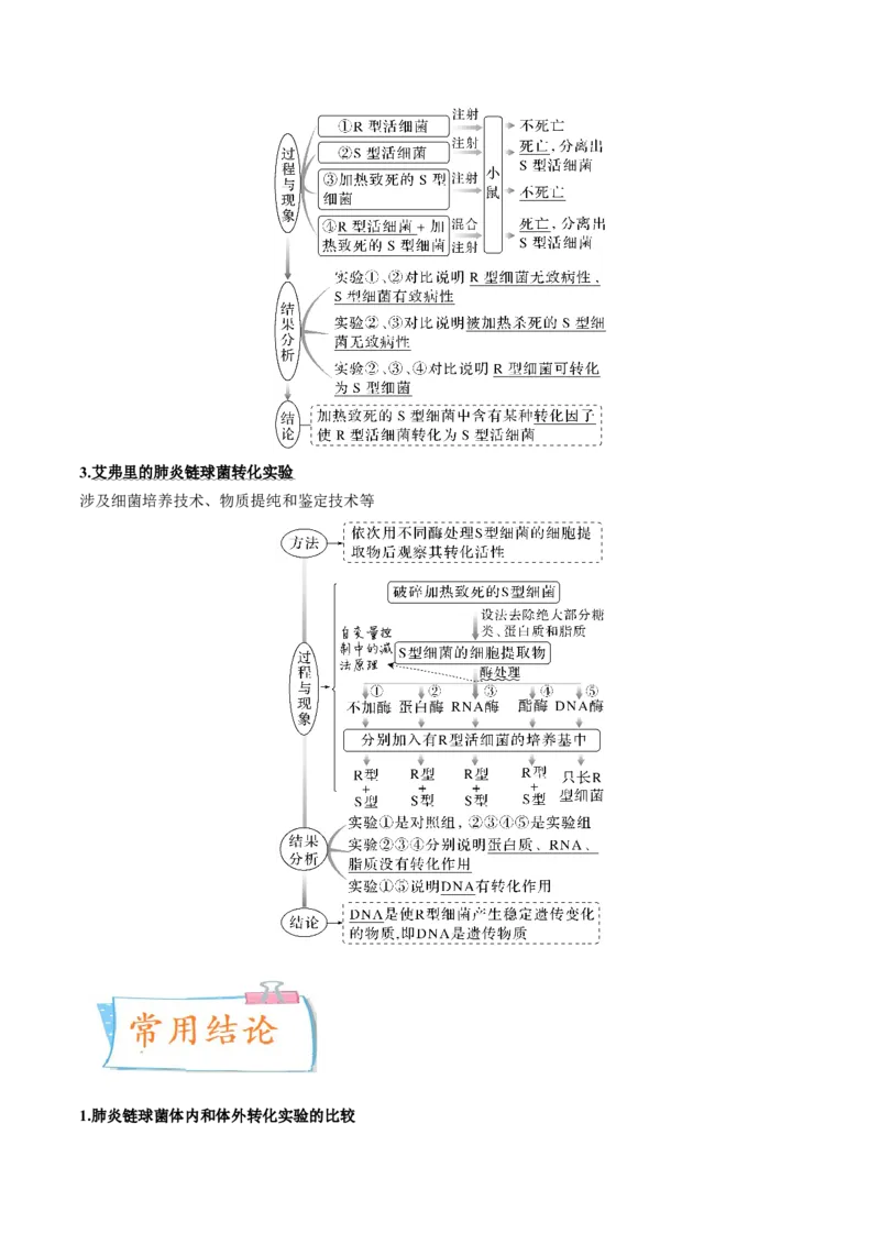 考向12基因的本质-备战2023年高考生物一轮复习考点微专题（全国通用）（解析版）_通用版（老高考）复习资料_2023年复习资料_一轮复习