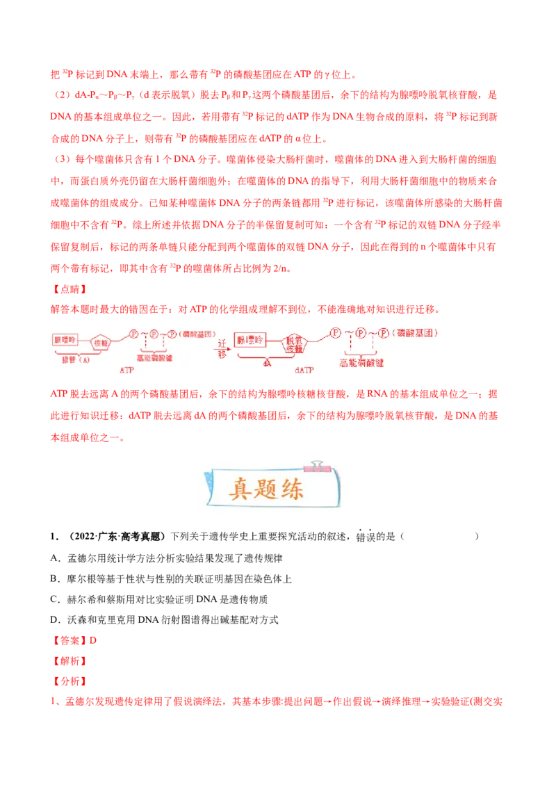 考向12基因的本质-备战2023年高考生物一轮复习考点微专题（全国通用）（解析版）_通用版（老高考）复习资料_2023年复习资料_一轮复习