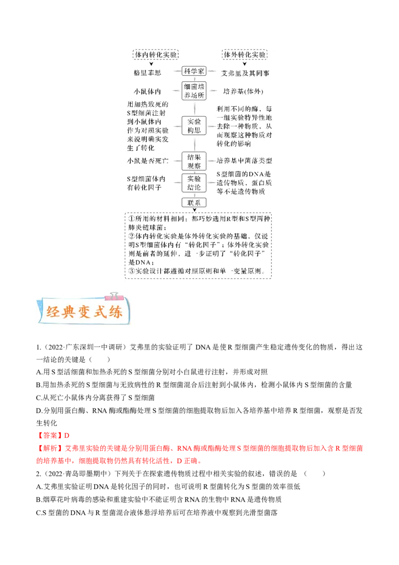 考向12基因的本质-备战2023年高考生物一轮复习考点微专题（全国通用）（解析版）_通用版（老高考）复习资料_2023年复习资料_一轮复习