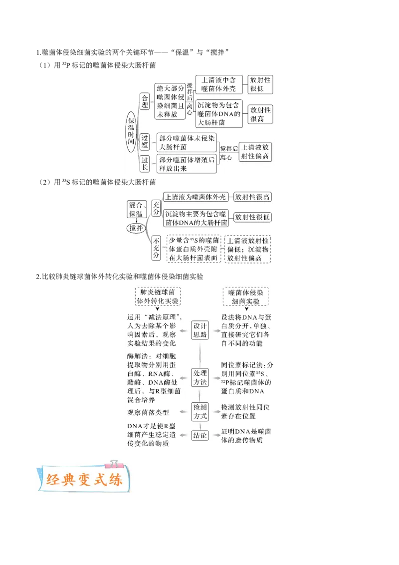 考向12基因的本质-备战2023年高考生物一轮复习考点微专题（全国通用）（解析版）_通用版（老高考）复习资料_2023年复习资料_一轮复习