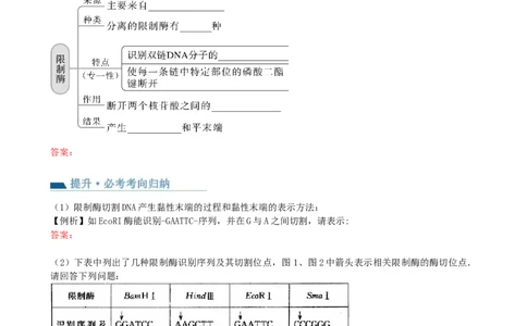 第43讲基因工程（讲义）（学生版）_新高考复习资料_2024年新高考复习资料_一轮复习资料_完2024年高考生物一轮复习讲练测(课件+讲义+练习)（新高考）_讲义+练习