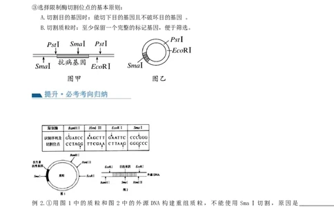 第43讲基因工程（讲义）（学生版）_新高考复习资料_2024年新高考复习资料_一轮复习资料_完2024年高考生物一轮复习讲练测(课件+讲义+练习)（新高考）_讲义+练习