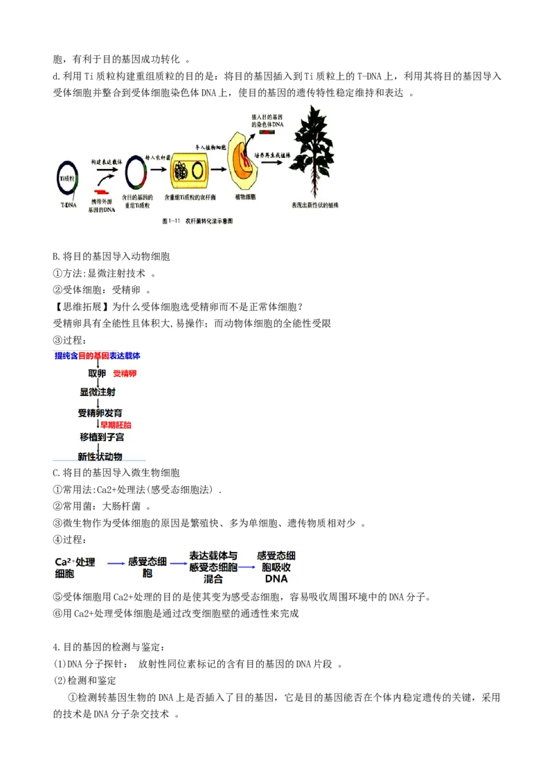 第43讲基因工程（讲义）（学生版）_新高考复习资料_2024年新高考复习资料_一轮复习资料_完2024年高考生物一轮复习讲练测(课件+讲义+练习)（新高考）_讲义+练习