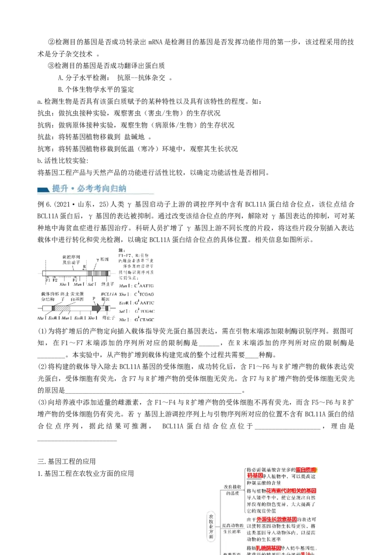 第43讲基因工程（讲义）（学生版）_新高考复习资料_2024年新高考复习资料_一轮复习资料_完2024年高考生物一轮复习讲练测(课件+讲义+练习)（新高考）_讲义+练习