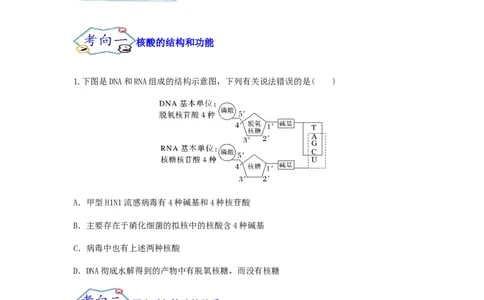 考点06核酸的结构和功能（原卷版）_通用版（老高考）复习资料_2023年复习资料_一轮复习_2023年高考生物一轮复习讲练测（全国通用）