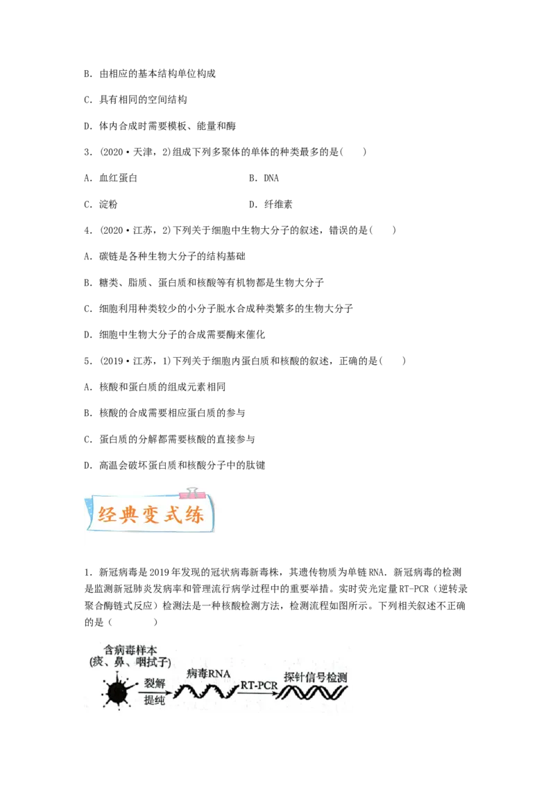 考点06核酸的结构和功能（原卷版）_通用版（老高考）复习资料_2023年复习资料_一轮复习_2023年高考生物一轮复习讲练测（全国通用）