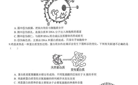 湖北省随州高中教联体2025-2026学年高一上学期12月期中生物试题_2025年12月高一试卷_251211湖北省随州市高中教联体2025-2026学年高一上学期期中联考