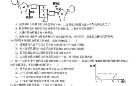 湖北省随州高中教联体2025-2026学年高一上学期12月期中生物试题_2025年12月高一试卷_251211湖北省随州市高中教联体2025-2026学年高一上学期期中联考