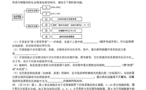 湖北省随州高中教联体2025-2026学年高一上学期12月期中生物试题_2025年12月高一试卷_251211湖北省随州市高中教联体2025-2026学年高一上学期期中联考