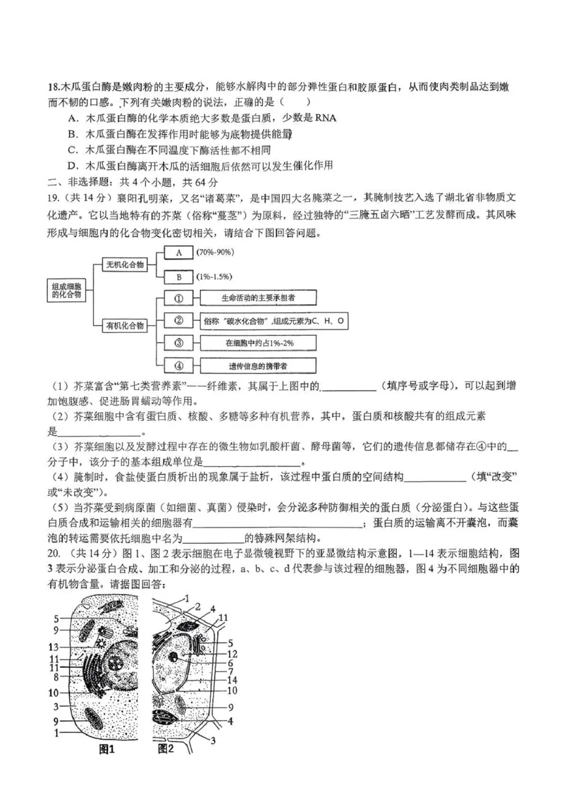 湖北省随州高中教联体2025-2026学年高一上学期12月期中生物试题_2025年12月高一试卷_251211湖北省随州市高中教联体2025-2026学年高一上学期期中联考